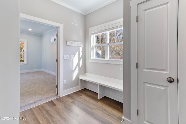 mudroom with light hardwood / wood-style floors and ornamental molding