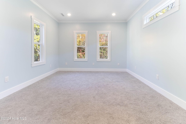 unfurnished room with carpet flooring and ornamental molding