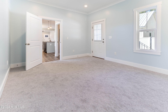 spare room with crown molding, sink, and light colored carpet