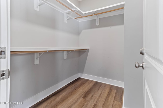 spacious closet with hardwood / wood-style floors