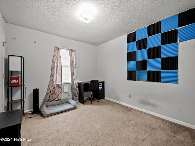 sitting room featuring carpet flooring and a textured ceiling