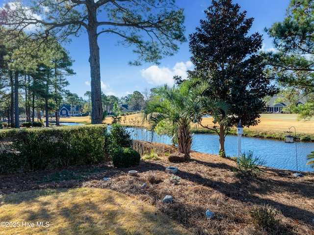 view of water feature