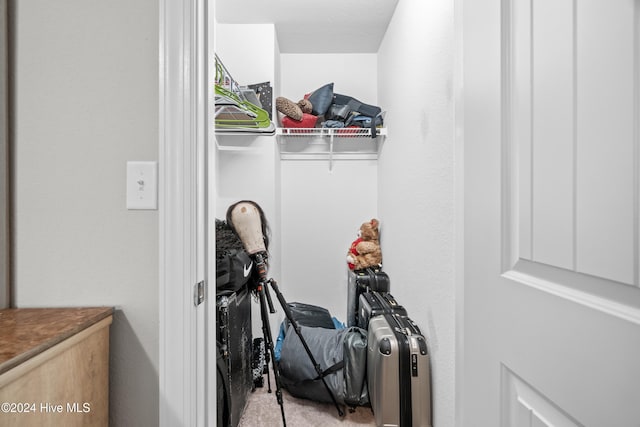 spacious closet featuring light carpet