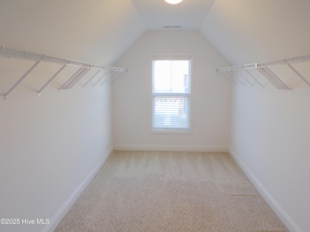 spacious closet featuring carpet and vaulted ceiling