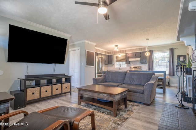 living room with sink, ceiling fan, crown molding, a textured ceiling, and light hardwood / wood-style flooring