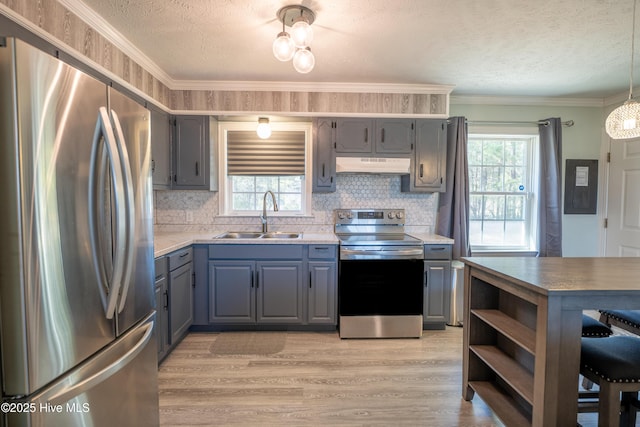 kitchen with sink, light hardwood / wood-style flooring, appliances with stainless steel finishes, gray cabinetry, and a textured ceiling