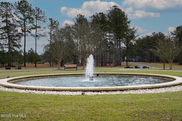 view of property's community with a yard