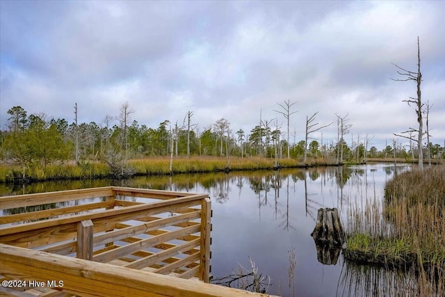 dock area with a water view