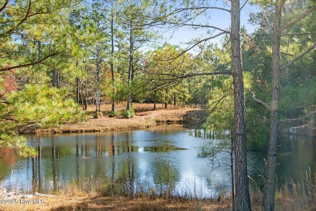 view of water feature