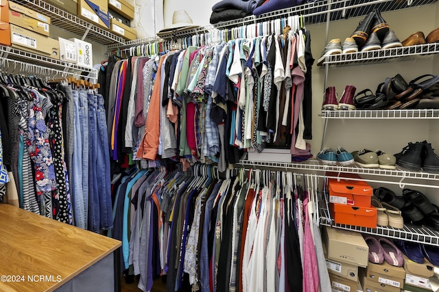 view of walk in closet