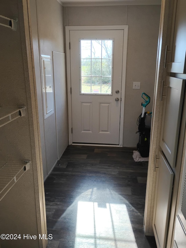 entryway featuring dark wood-type flooring