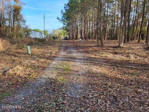 Listing photo 3 for LOT6 Minor Run Rd, Edward NC 27821