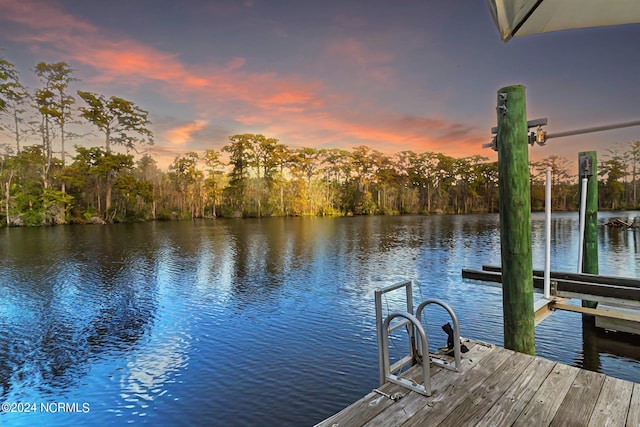 dock area with a water view