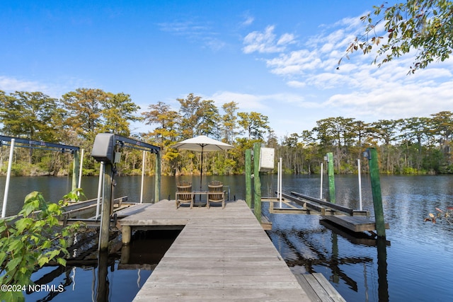 dock area with a water view