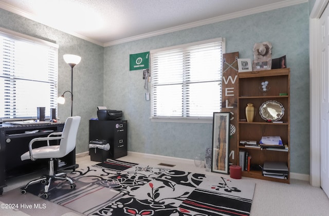 office space featuring crown molding, carpet floors, and a textured ceiling