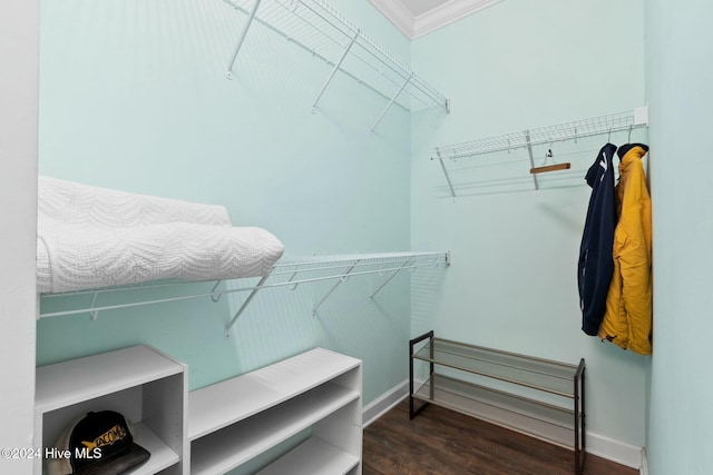 spacious closet featuring dark hardwood / wood-style flooring