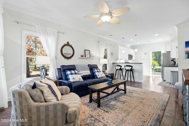 living room featuring ceiling fan, crown molding, and dark wood-type flooring