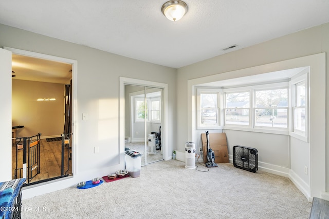 interior space featuring carpet and plenty of natural light