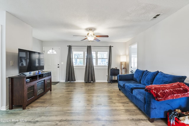 living room with ceiling fan, wood-type flooring, and a textured ceiling