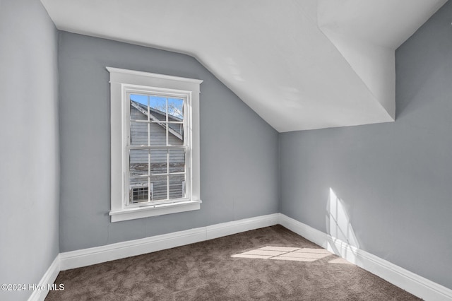 additional living space with carpet and lofted ceiling