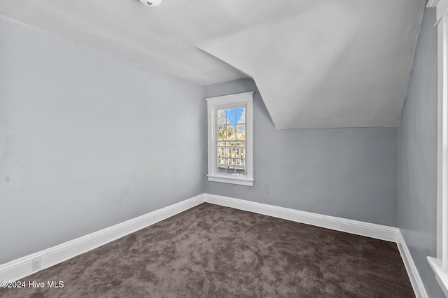 bonus room with carpet and lofted ceiling