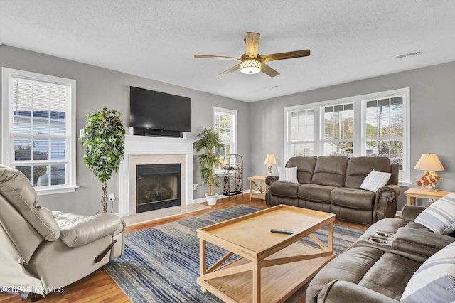 living room featuring a healthy amount of sunlight, a textured ceiling, and hardwood / wood-style flooring