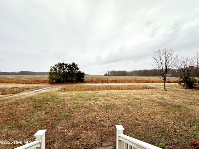 view of yard featuring a rural view