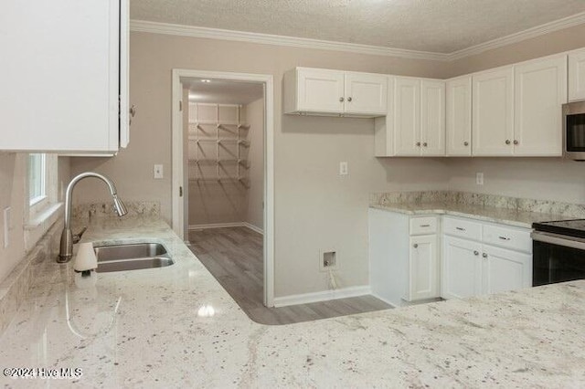 kitchen featuring white cabinets, light stone counters, wood-type flooring, and sink