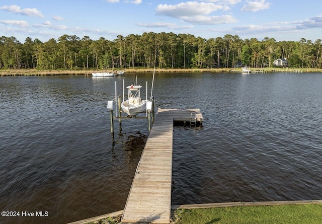 dock area featuring a water view