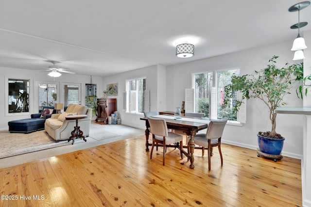 dining space featuring light wood-type flooring and ceiling fan