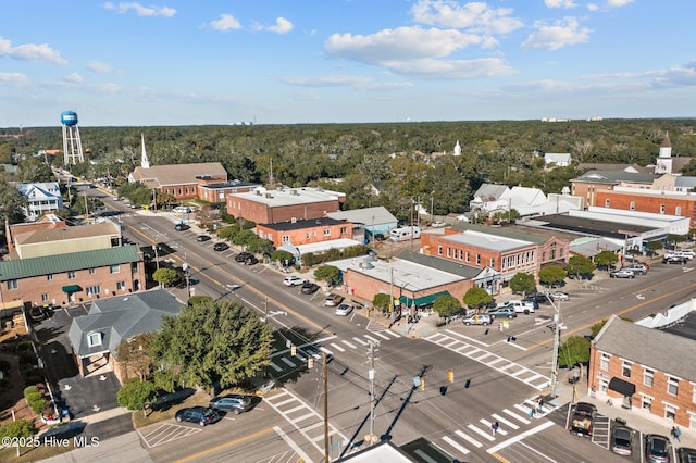 bird's eye view