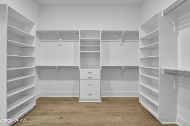 walk in closet featuring light wood-type flooring