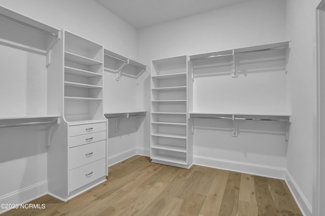 spacious closet with light hardwood / wood-style flooring