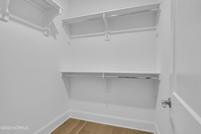 spacious closet featuring wood-type flooring