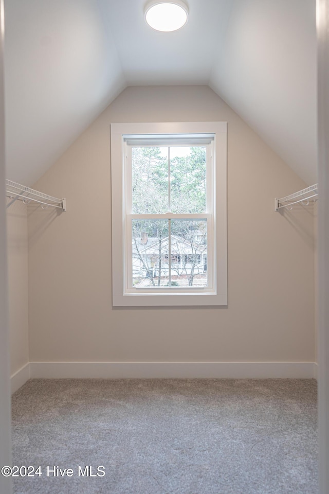 walk in closet featuring carpet flooring and lofted ceiling