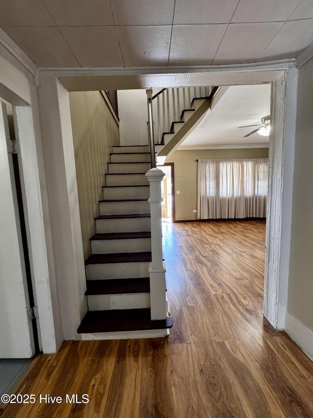 staircase featuring crown molding, hardwood / wood-style flooring, and ceiling fan