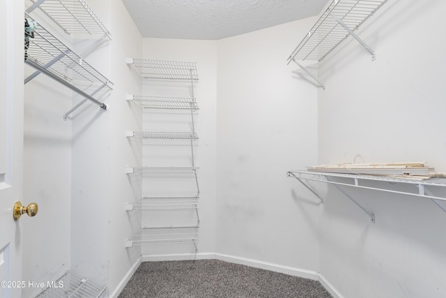 walk in closet with carpet floors