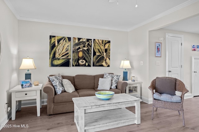 living room with light hardwood / wood-style floors and ornamental molding