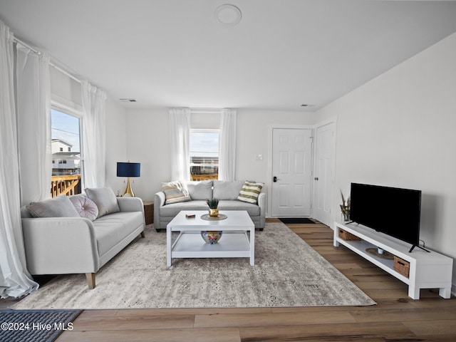 living room with hardwood / wood-style flooring