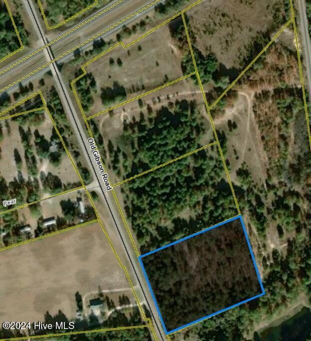 TBD Old Gibson Rd, Hamlet NC, 28345 land for sale