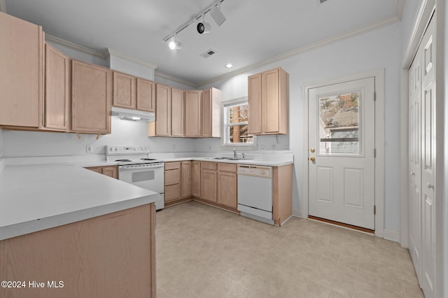 kitchen with white appliances, track lighting, crown molding, sink, and light brown cabinetry