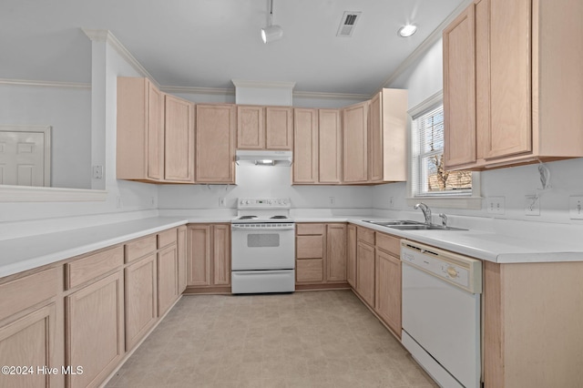 kitchen featuring light brown cabinets, white appliances, sink, and ornamental molding