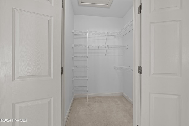 spacious closet with light carpet