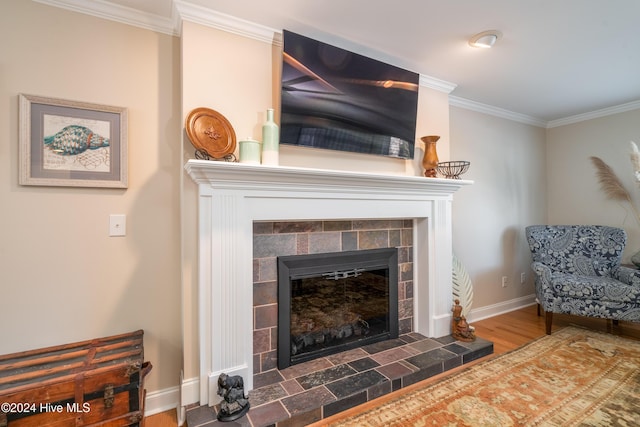 living area featuring ornamental molding, a fireplace, and dark wood-type flooring