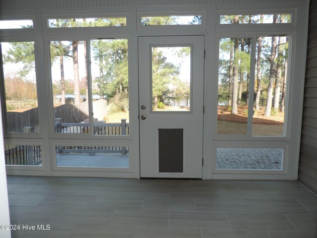 entryway with plenty of natural light