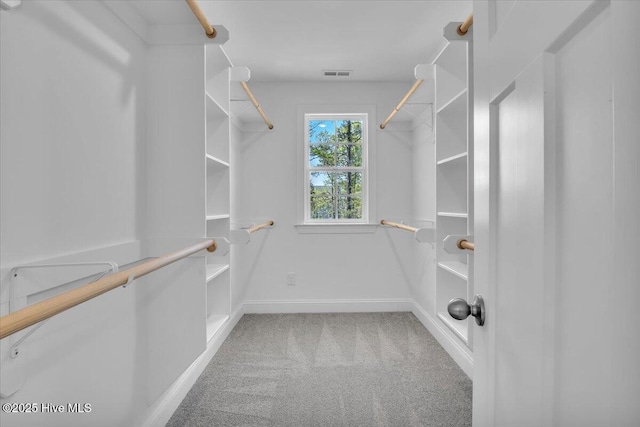 spacious closet with visible vents and carpet flooring