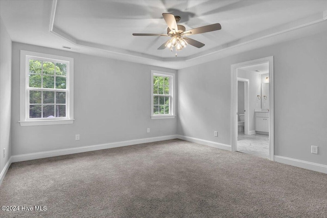 carpeted spare room with a tray ceiling, a wealth of natural light, and ceiling fan