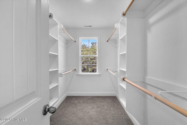 walk in closet with carpet