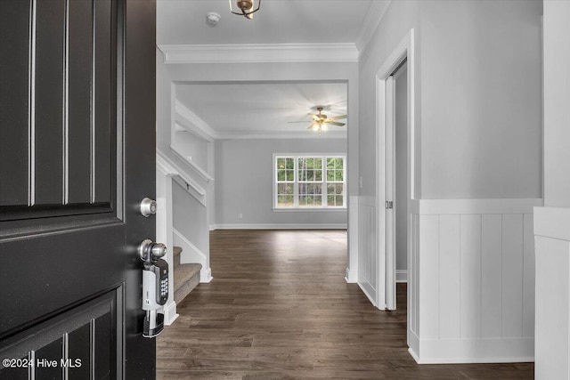 foyer with ceiling fan, dark hardwood / wood-style flooring, and ornamental molding