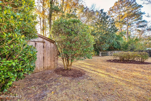 view of yard featuring a storage shed